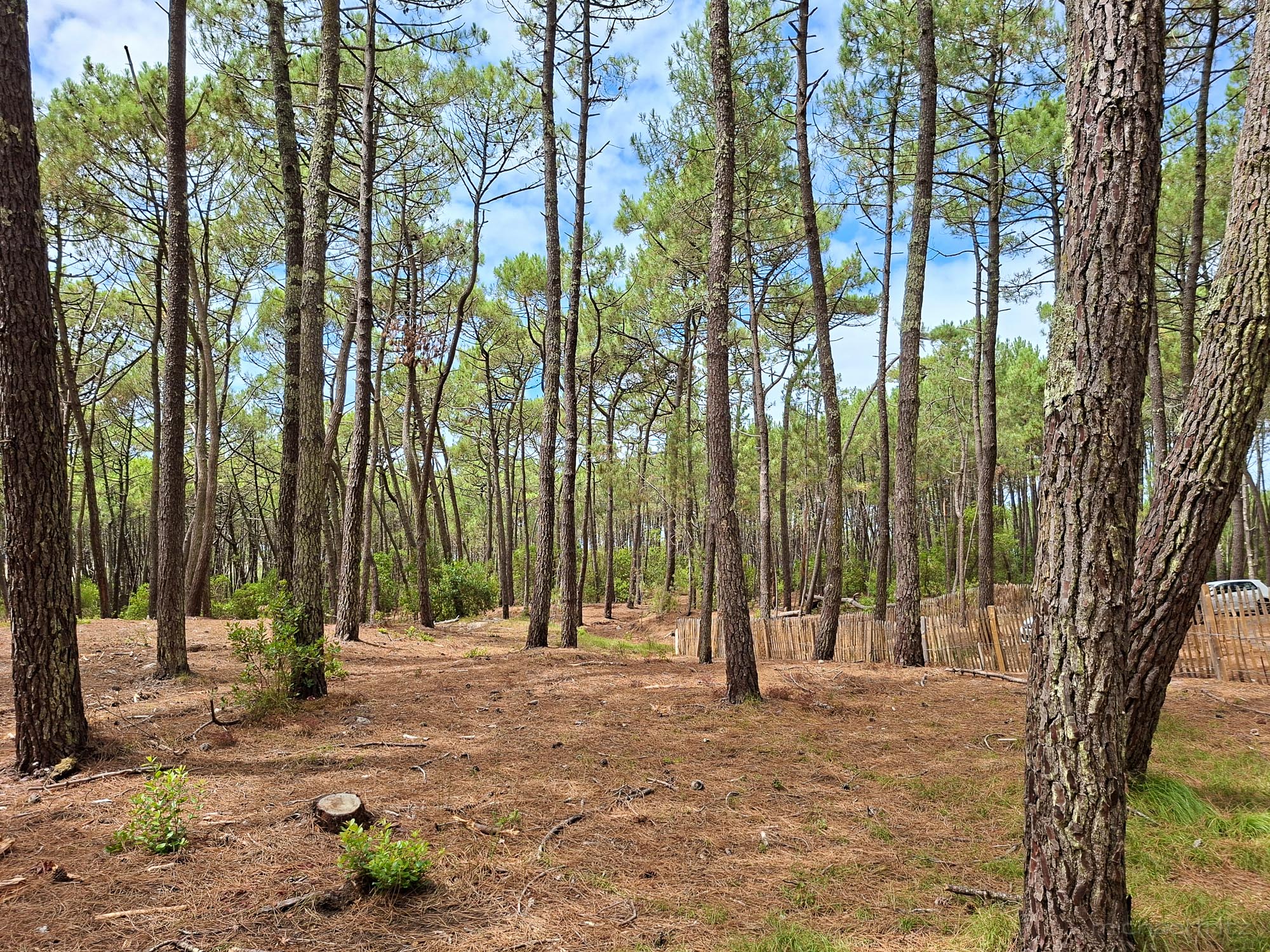 2026 08 06 14.04.50